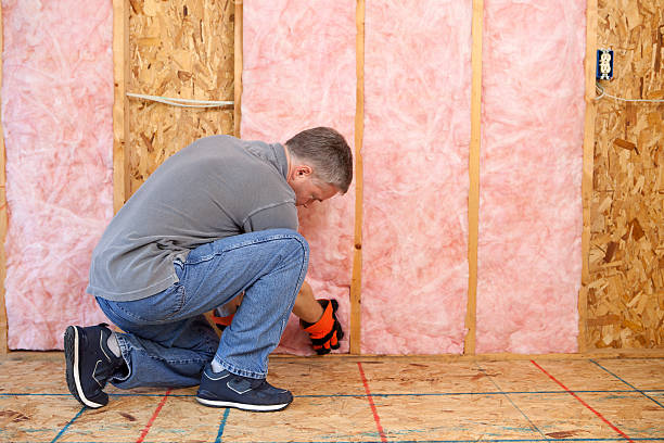Best Insulation for Specific Applications in West Springfield, VA